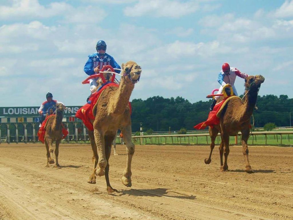 exotic races