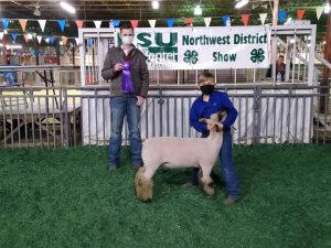 Showing sheep is a kids activity promoted by Bossier Parish 4-H.