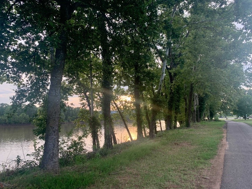 Best Hike In Bossier Parish Arthur Ray Teague Running Trail